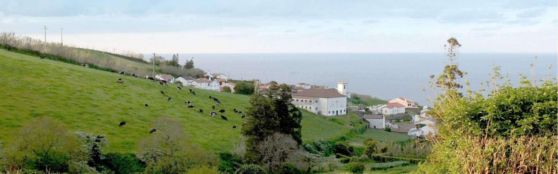 Balc&atilde;o Virtual