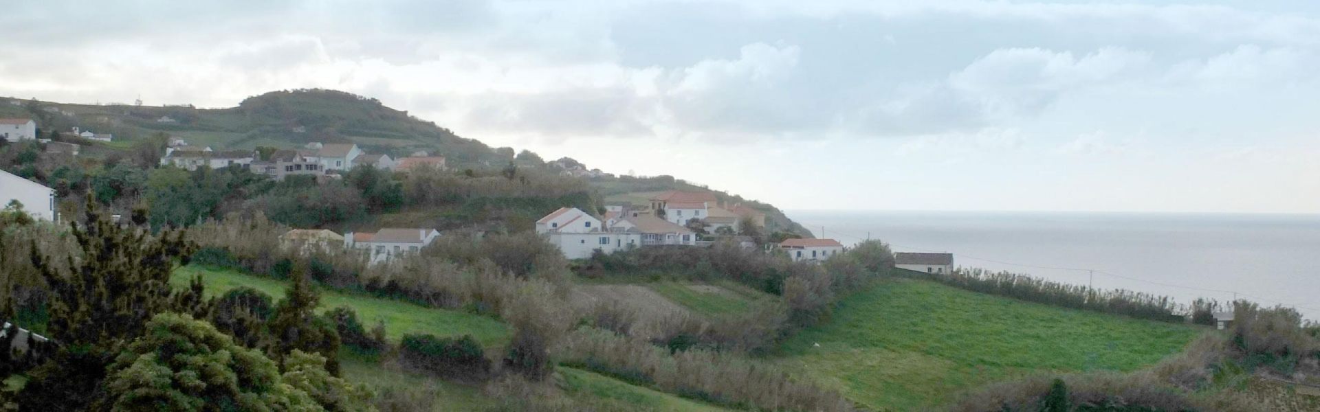 Can&iacute;deos